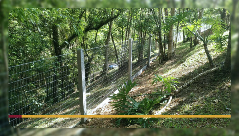 Tela Campestre: conheça todos os detalhes e benefícios deste modelo!