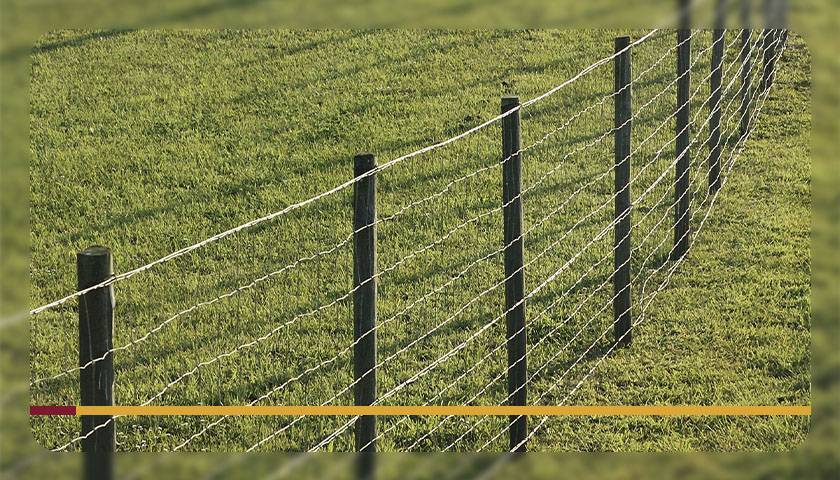 Arame para cerca elétrica: conheça as opções ideais para fazer a sua!