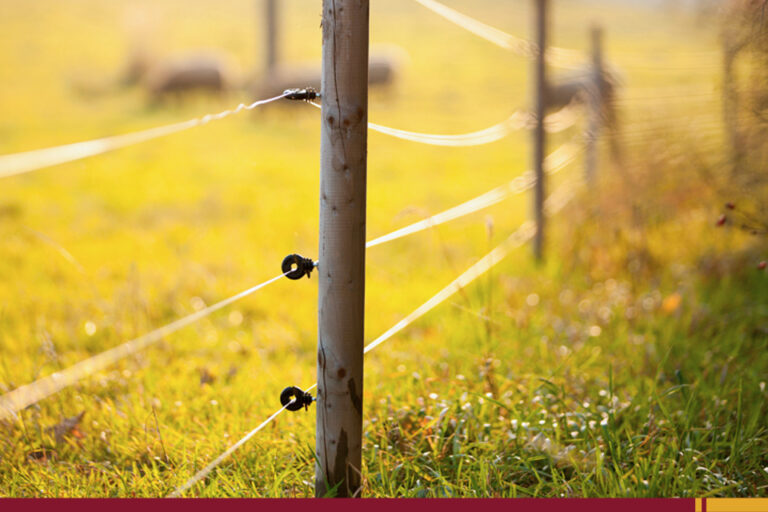 7 cuidados que você precisa ter na instalação de cerca elétrica rural!