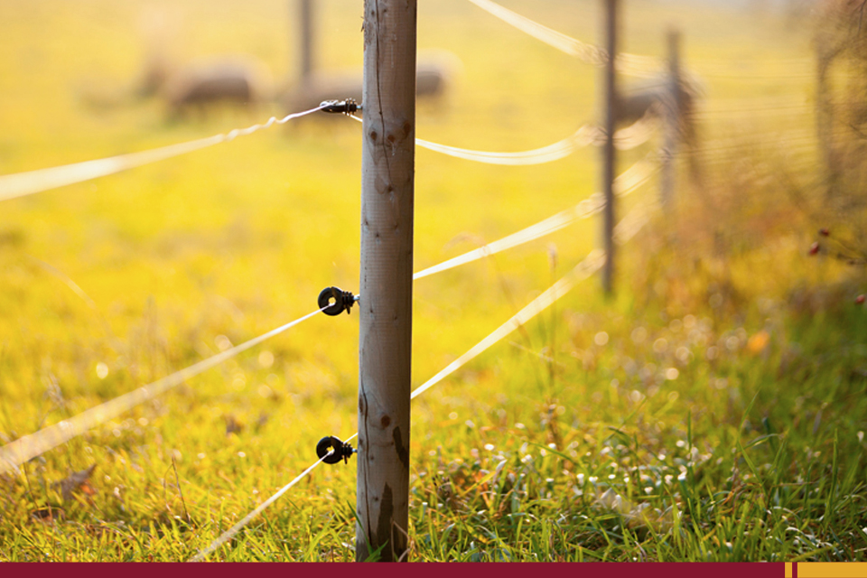 7 cuidados que você precisa ter na instalação de cerca elétrica rural!