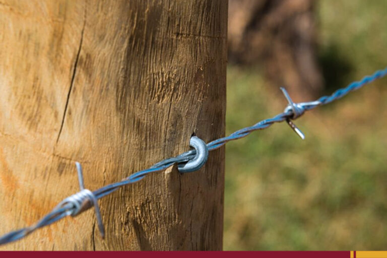 BLOGImprimirFonte +Descubra como você pode lucrar mais com os acessórios para construção rural!