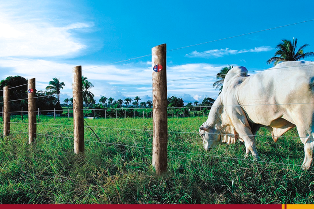 Acessórios para construção rural: 4 motivos para vendê-los na sua agropecuária!