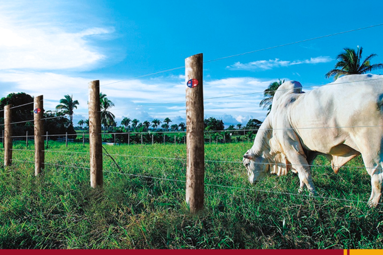 Acessórios para construção rural: 4 motivos para vendê-los na sua agropecuária!