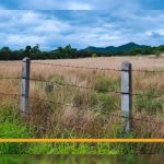 Como planejar, escolher e instalar a cerca rural ideal