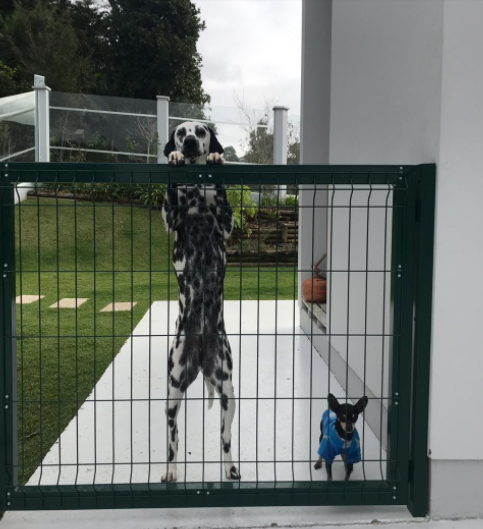 Tipo de tela para cerca
