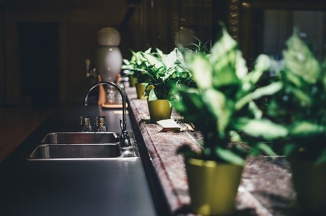 O que é plantscaping