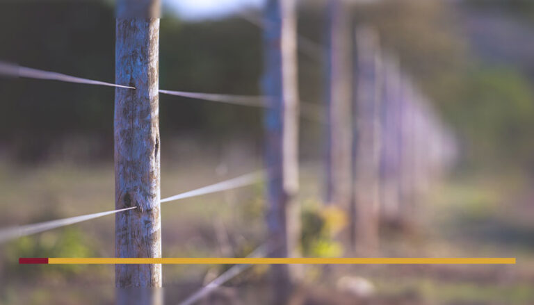 Você sabe como chama o fio da cerca elétrica rural? Descubra!