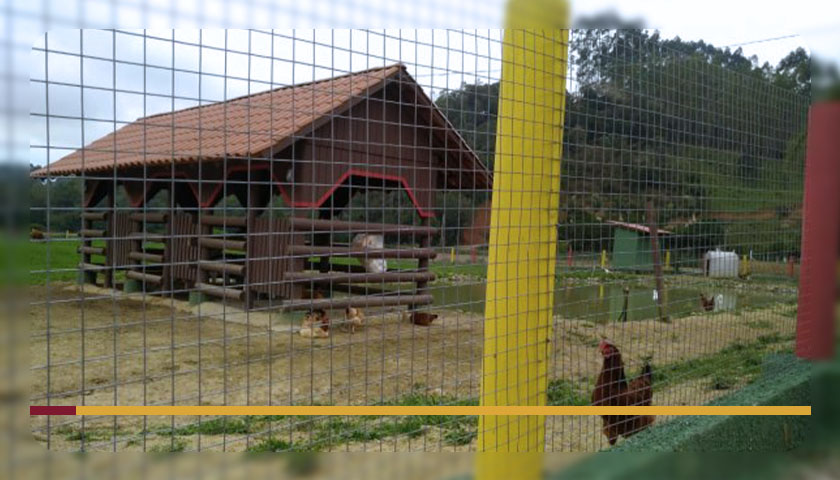 A importância das cercas para fazendas