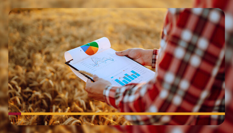 Mercado agrícola: como afeta as vendas na loja?