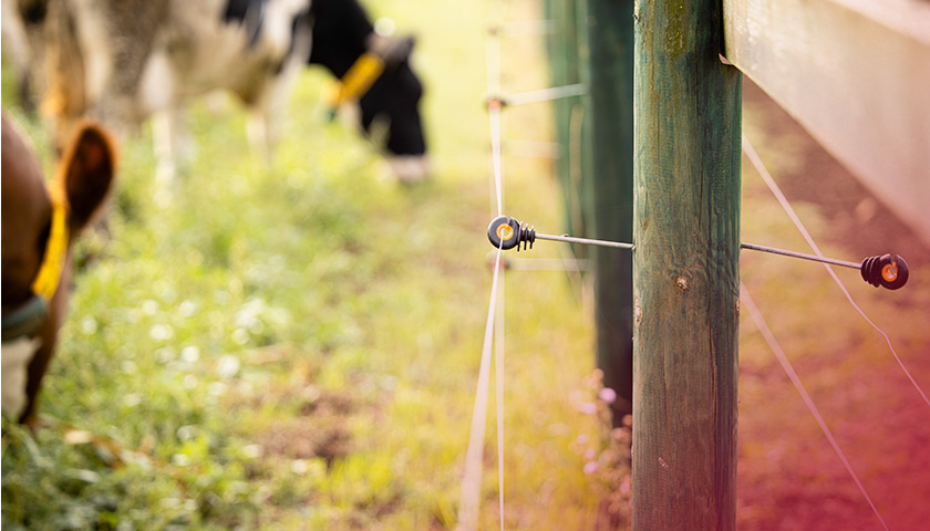 como saber se a cerca elétrica rural está funcionando