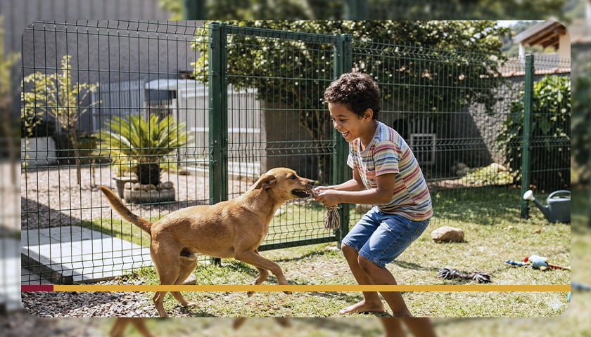 Telas para cercar quintal: segurança e proteção para crianças e pets
